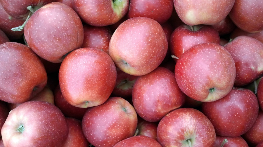польські яблука груші черешня сливи фрукти оптом Польща 02